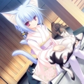 foxofice
