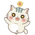 镜中花