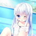 智疑