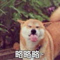 粑粑的