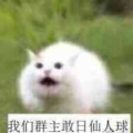 漫长岁月不想上班