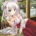 伊蕾娜suki