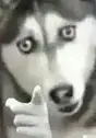 钰魂