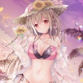 快乐灰