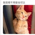 D_DD