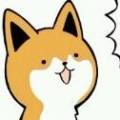 水星龟