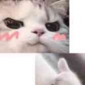我爱你6