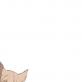 zftuhw1