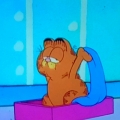 Yolanda