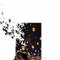 是是是