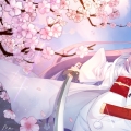 燕结芽