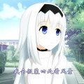 鸫233