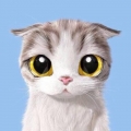 Kotaira