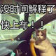 mysisy001