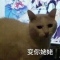 哦我