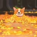 陈无聊
