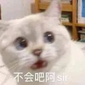 夕阳