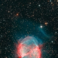 1234bxq