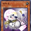 懵逼的坚果墙